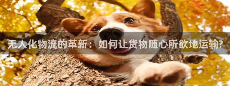 28圈里的财神