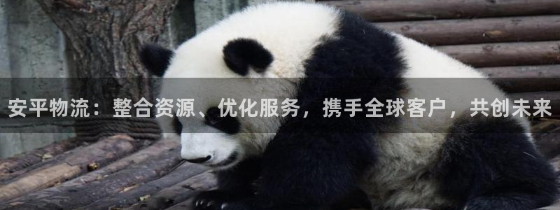 南宫28圈官网版
