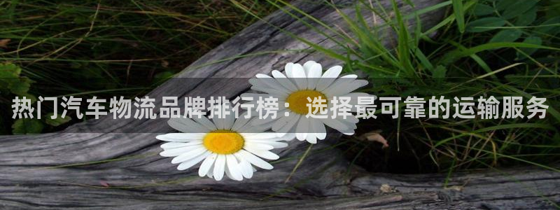 28圈绿骨头