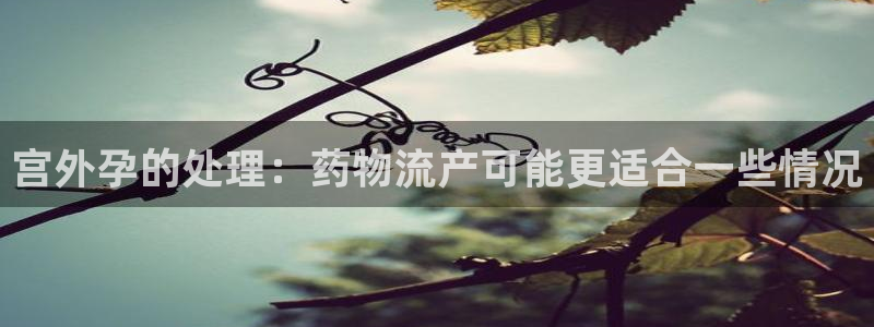 28圈自行车图片