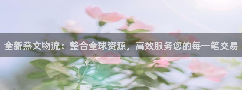 28圈加拿大技巧：全新燕文物流：整合全球资源，高效服务您的每