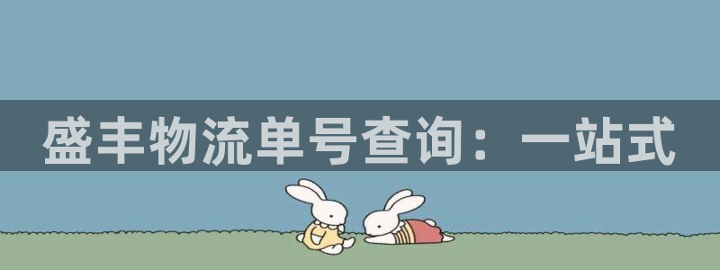 28圈加拿大28：盛丰物流单号查询：