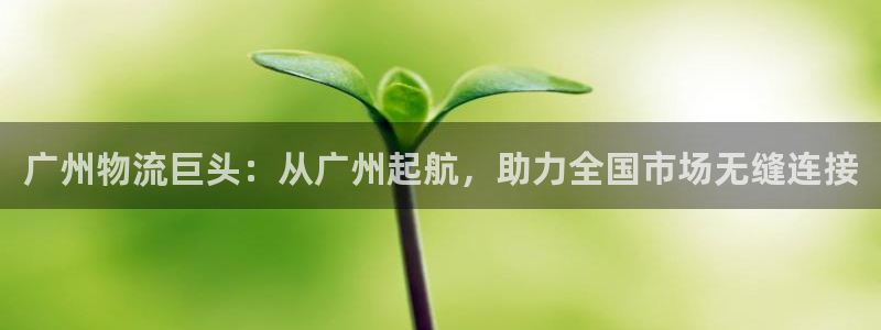 28圈人头费