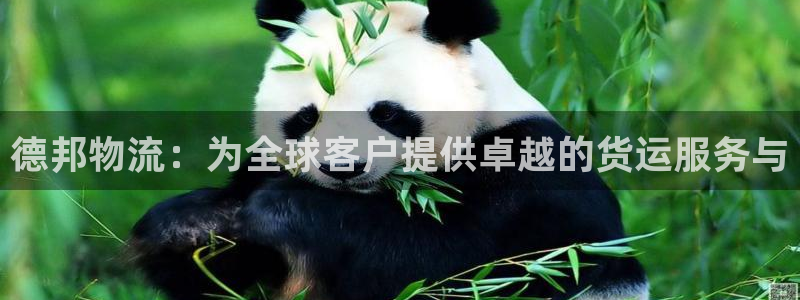 28圈取保：德邦物流：为全球客户提供