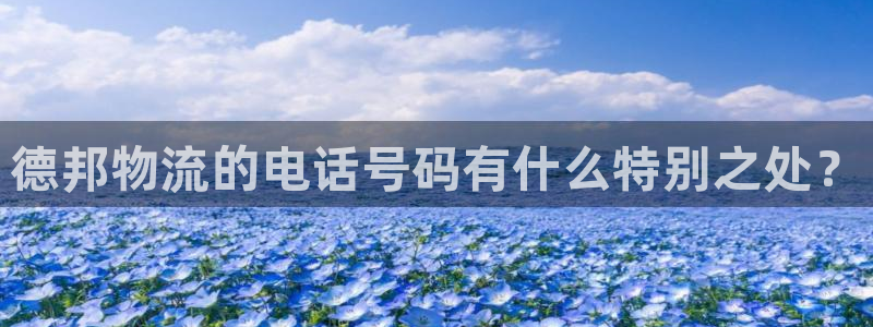 28圈账号注册：德邦物流的电话号码有