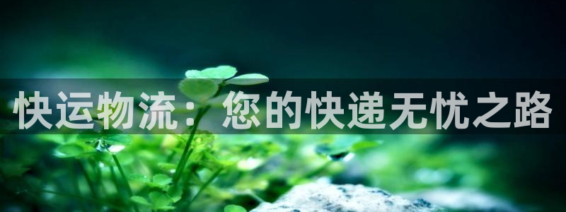 28圈反水怎么算