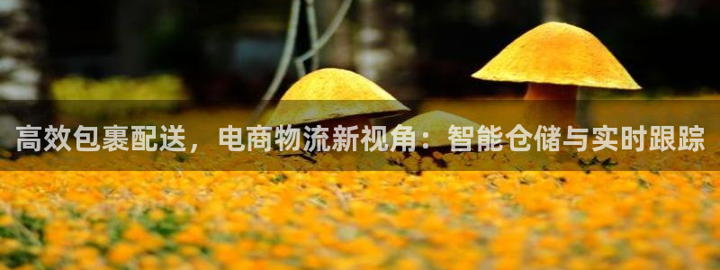 28圈pg如何退钱