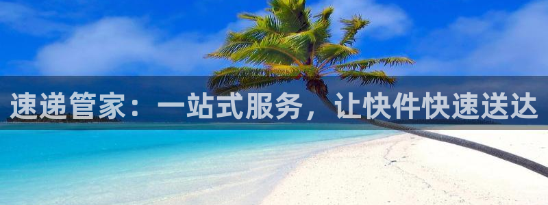 28圈登录不上咋回事：速递管家：一站