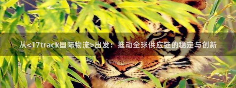 28圈大舞台