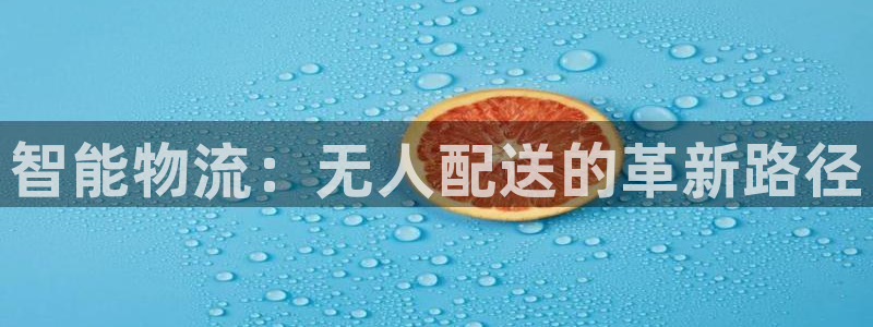 28圈为什么没有赢过一次：智能物流：无人配送的革新路径
