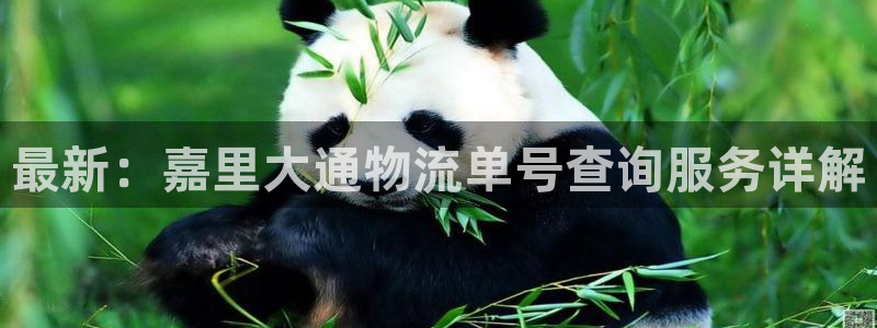 28圈app赢了500万：最新：嘉里