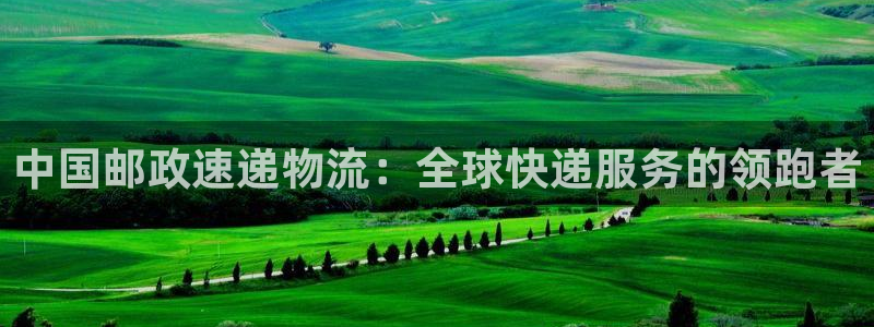 28圈下载二维码