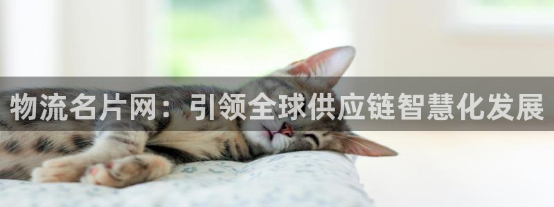 28圈.ccm官网：物流名片网：引领全球供应链智慧化发展