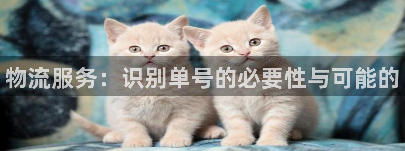 28圈官网开奖结果预测查询