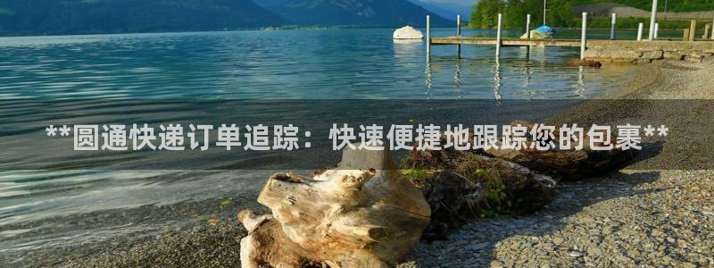 28圈pg麻将胡了2老是空转：**圆通快递订单追踪：快速便捷