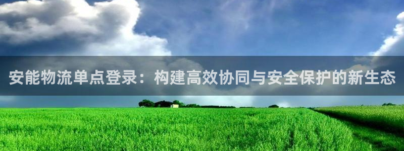 28圈官方版正版：安能物流单点登录：构建高效协同与安全保护的