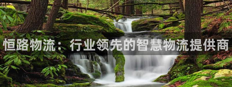 28圈加拿大走势：恒路物流：行业领先