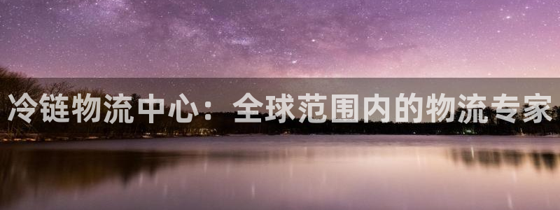 28圈怎么下载不了：冷链物流中心：全