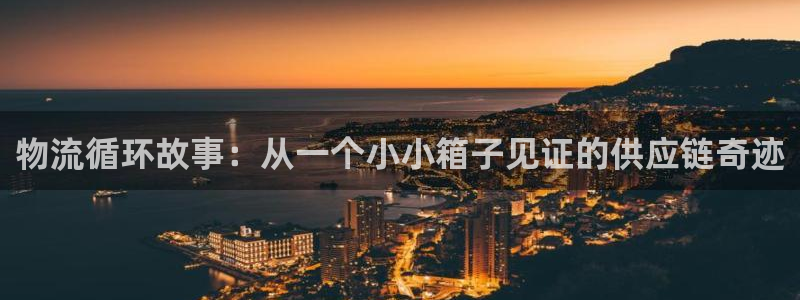 28圈充值不到账：物流循环故事：从一