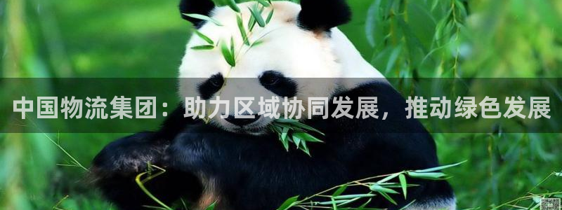28圈图片：中国物流集团：助力区域协