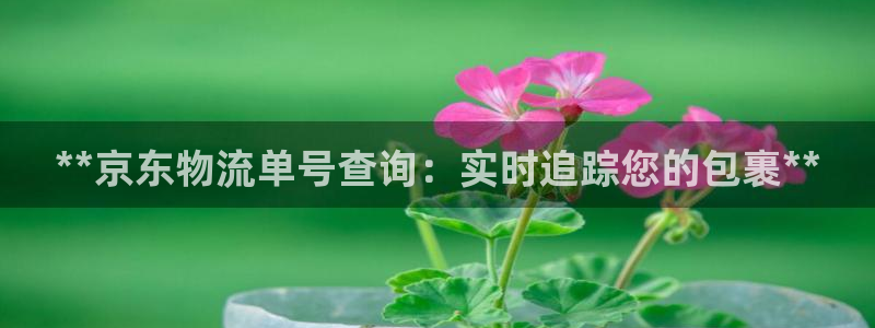 28圈充值不到账：**京东物流单号查