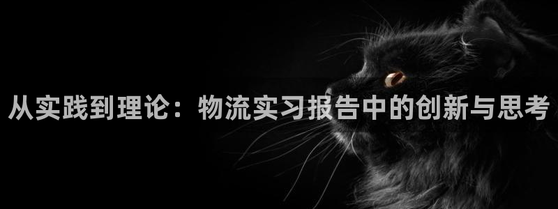 28圈软件是什么:从实践到理论:物流