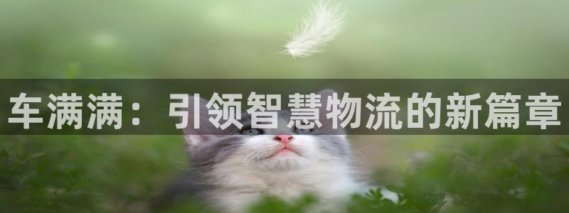 28圈能提现吗：车满满：引领智慧物流