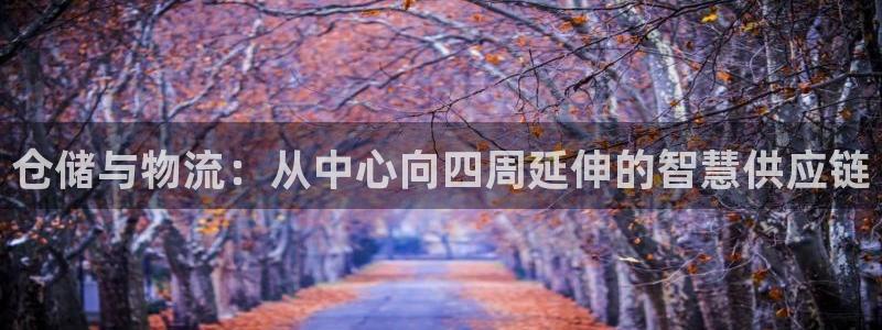 28圈选28ng官网:仓储与物流:从