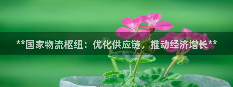 28圈网站平台是多少