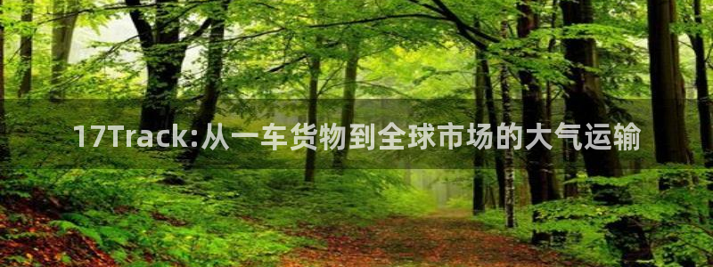 28圈账号注册：17Track:从一