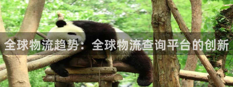 28圈官方网站是多少：全球物流趋势：