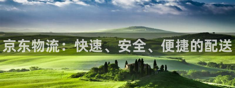 28圈怎么下载:京东物流:快速、安全