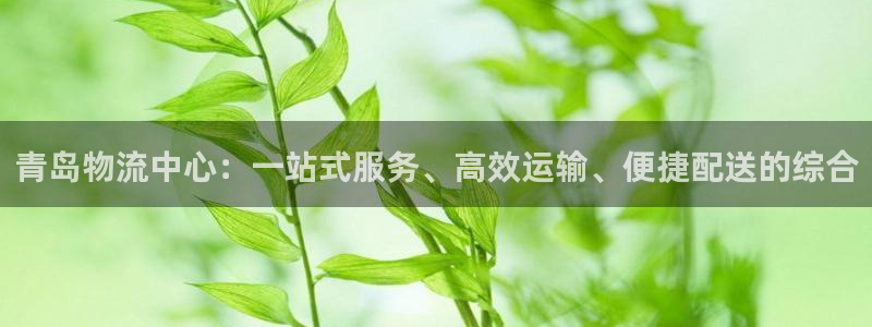 28圈官网版下载：青岛物流中心：一站式服务、高效运输、便捷配
