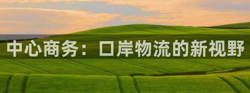 28圈体育下载：中心商务：口岸物流的