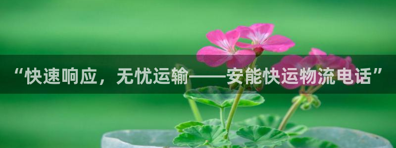 28圈模拟器下载：“快速响应，无忧运