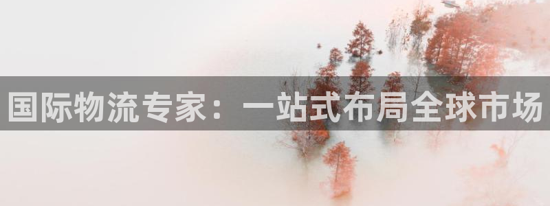 28圈注册网站APP