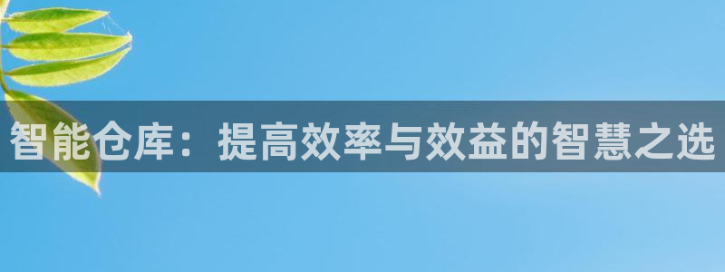 28圈官网平台：智能仓库：提高效率与