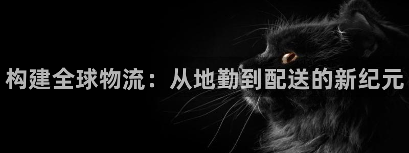28圈加拿大最新版：构建全球物流：从