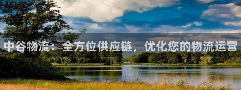 28圈加拿大28：中谷物流：全方位供