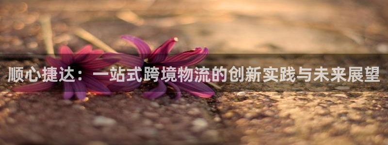 28圈ccm官网版：顺心捷达：一站式跨境物流的创新实践与未来