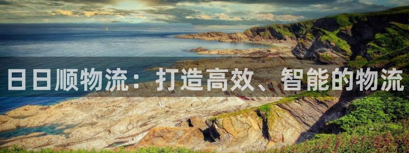 28圈比特28真实吗:日日顺物流:打