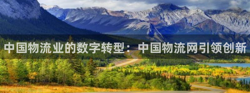 28圈加拿大怎么玩