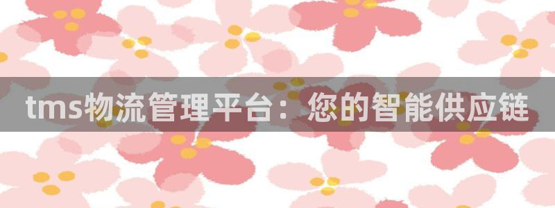 28圈注册网站链接怎么弄：tms物流管理平台：您的智能供应链