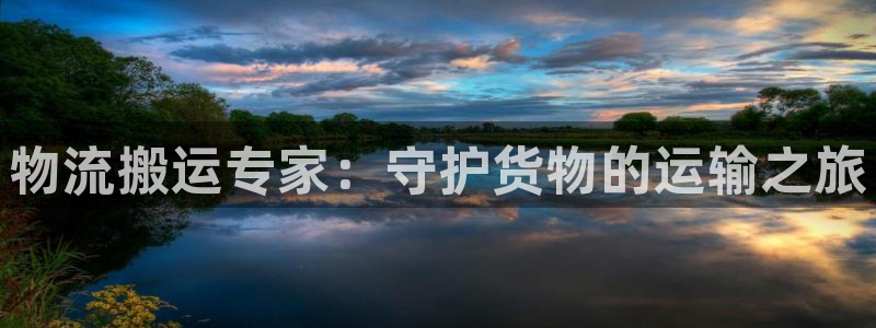 28圈提款一直没到：物流搬运专家：守护货物的运输之旅