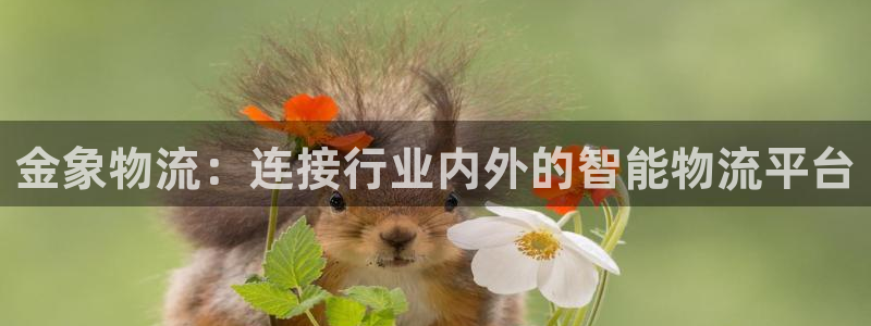 28圈官网下载链接是什么网站：金象物流：连接行业内外的智能物