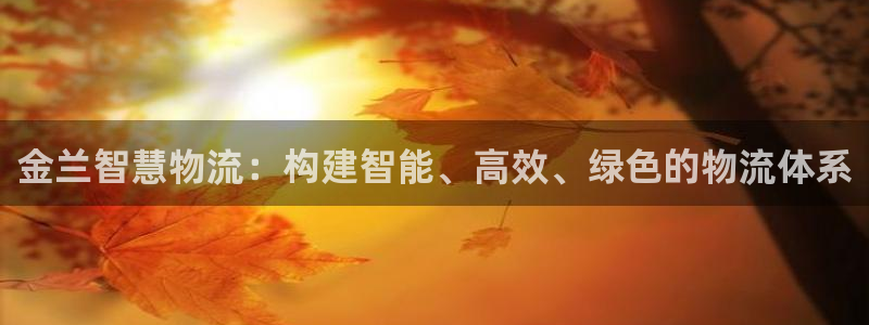 28圈加拿大走势：金兰智慧物流：构建智能、高效、绿色的物流体