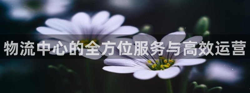 28圈注册限制怎么解除