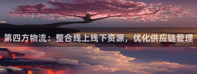 28圈不给提现：第四方物流：整合线上