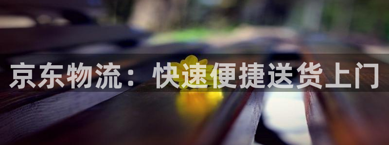 28圈是什么是赌博吗?:京东物流:快