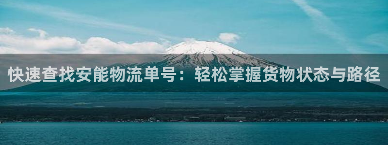 28圈官方版正版:快速查找安能物流单